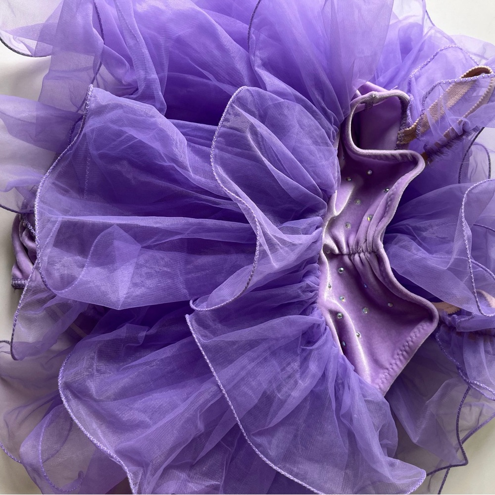 Purple Tulle Ballet Dress